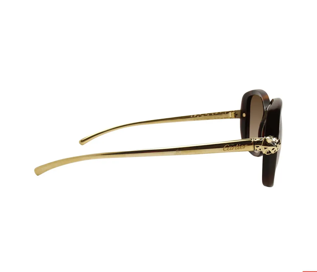 Square Sunglasses