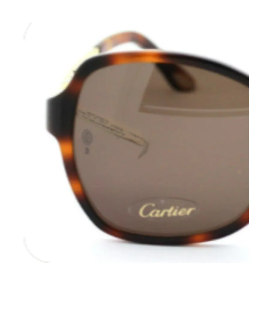 Square Sunglasses