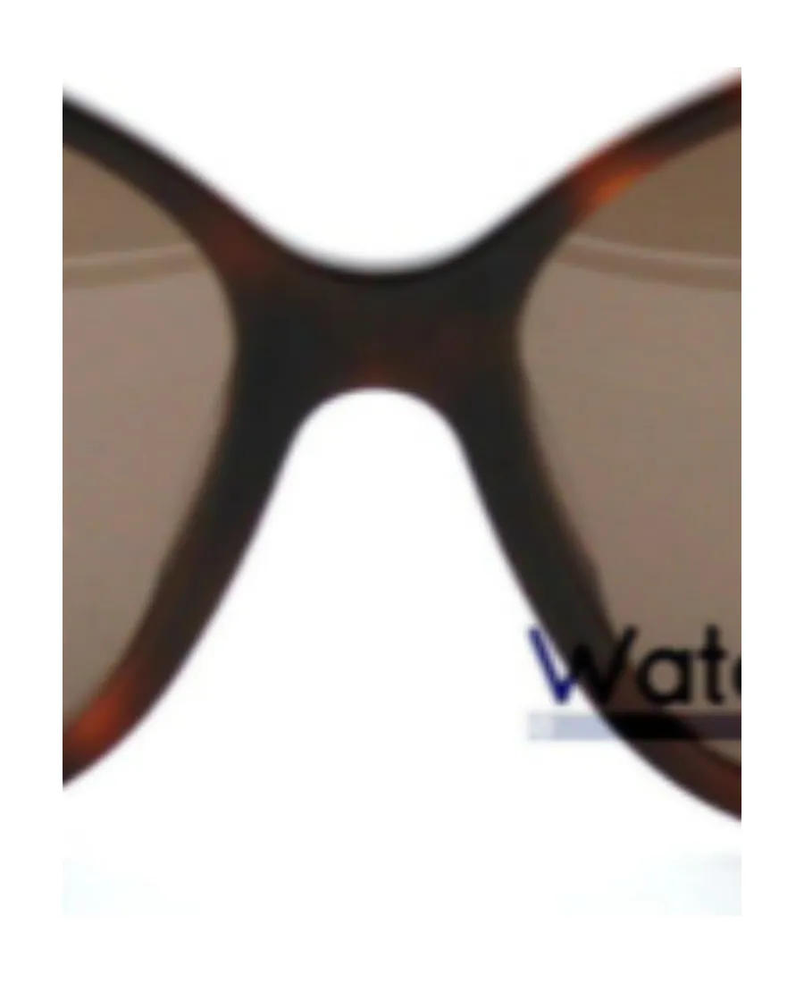 Square Sunglasses