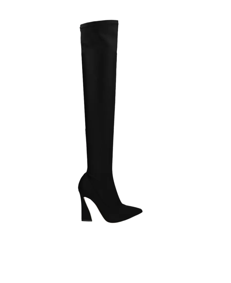 Gianvito Rossi Pointed Toe Over-The-Knee Boots