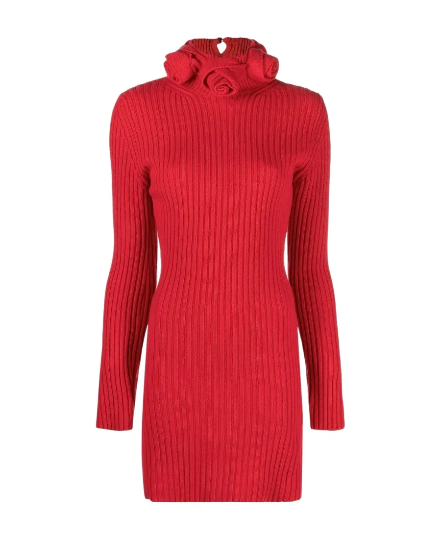 Roll-Neck Wool Mini Dress