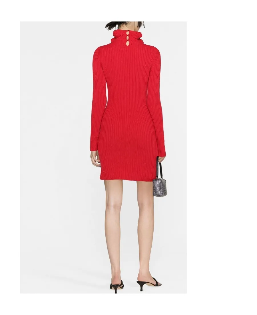 Roll-Neck Wool Mini Dress