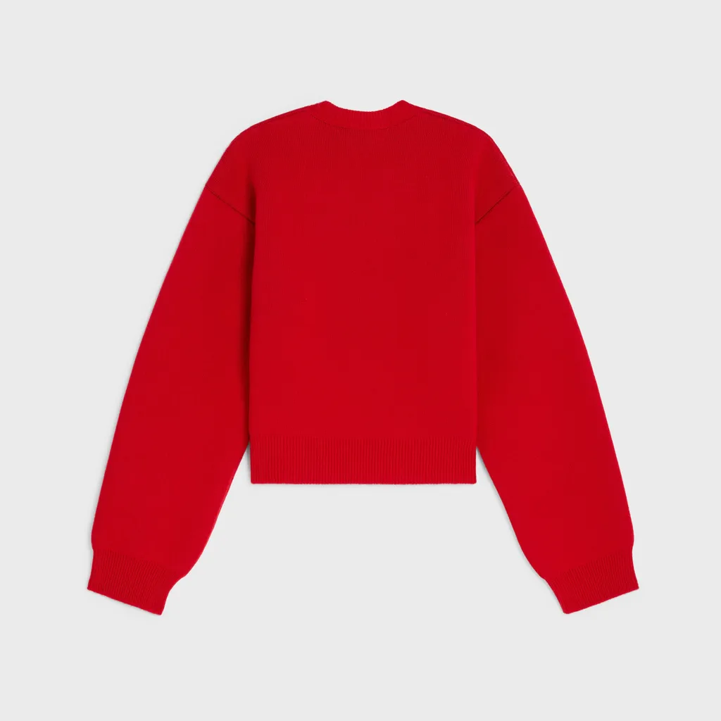 Crewneck Sweater In Cashmere