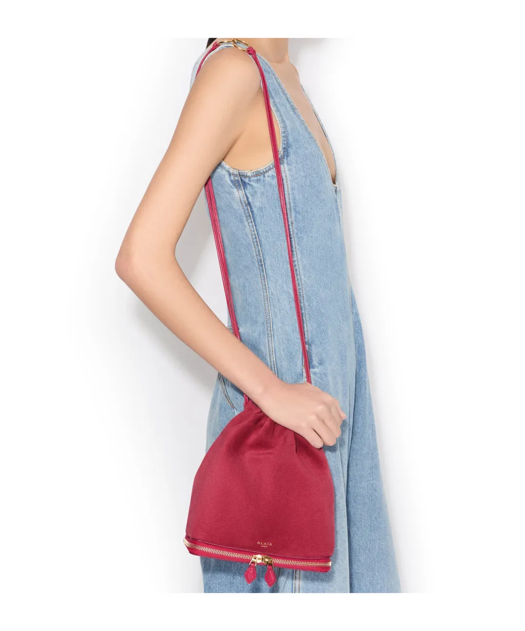 Le Pochon Bag In Suede