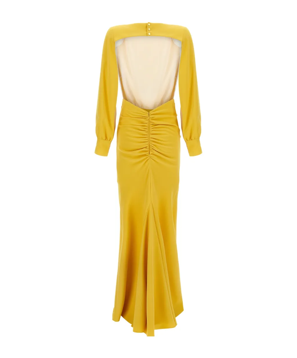 Elisabetta Franchi Red Carpet Maxi Dress