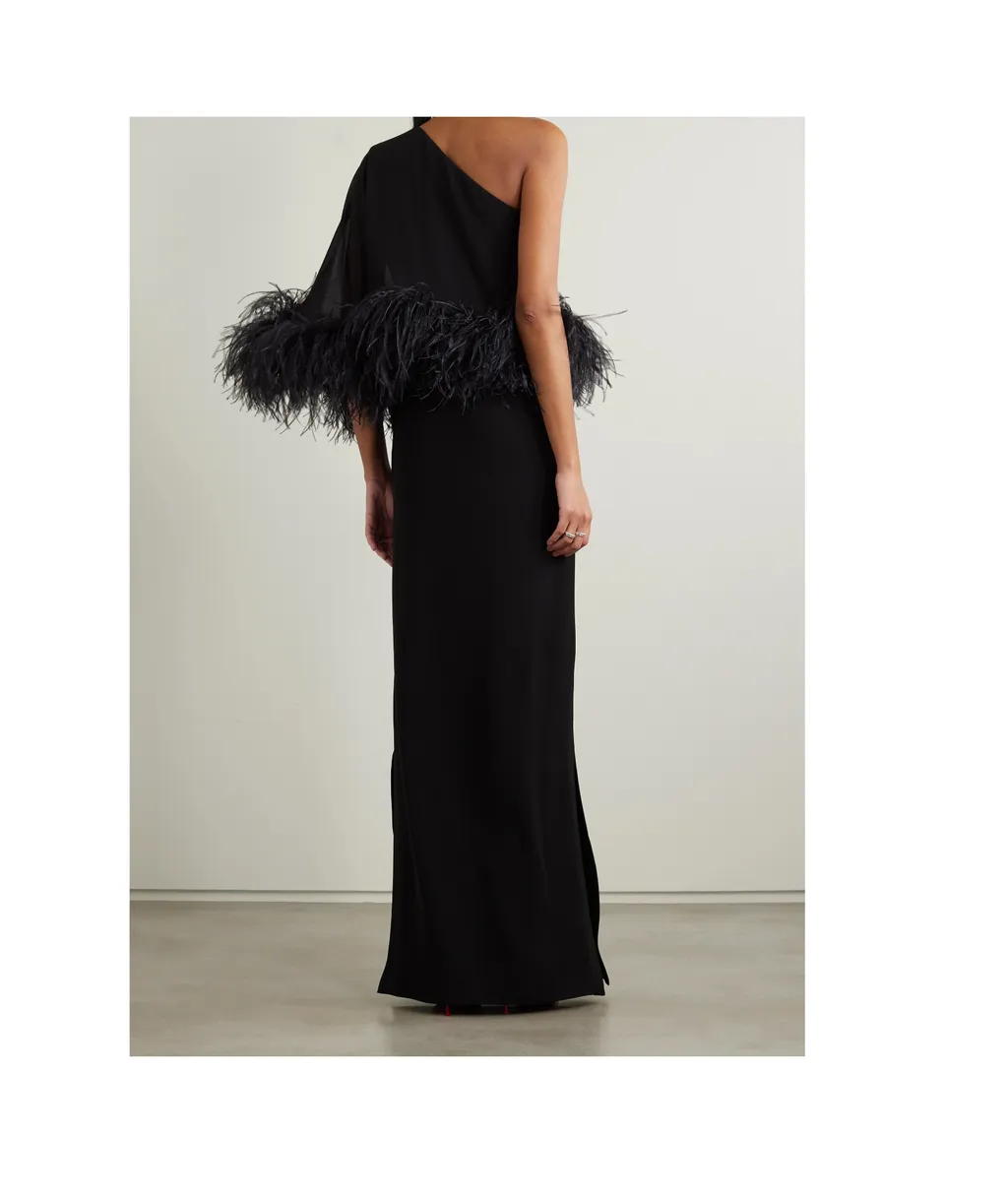 Alder One-Shoulder Feather-Trimmed Crepe Gown