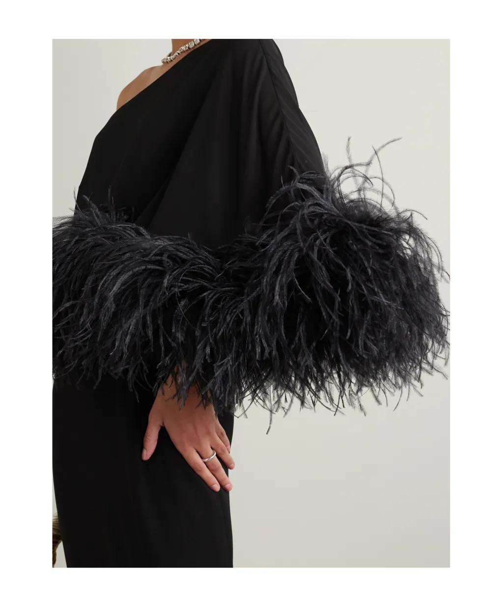 Alder One-Shoulder Feather-Trimmed Crepe Gown