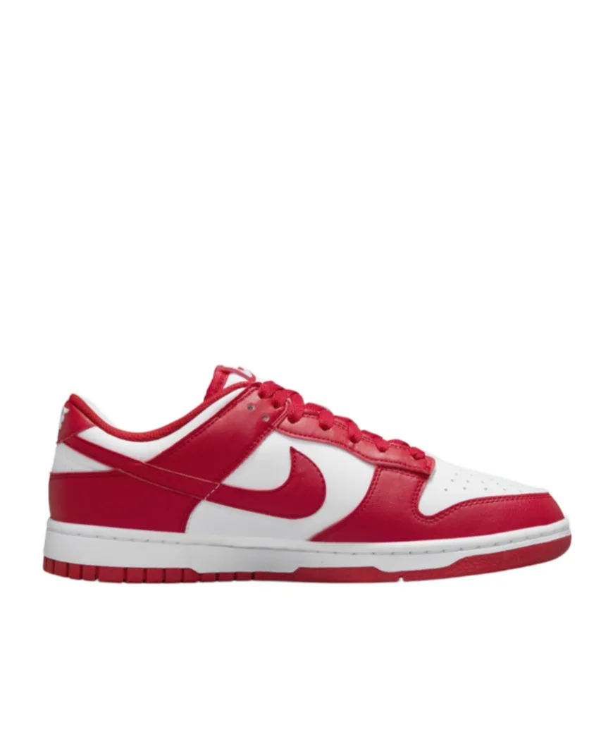 Nike Dunk Low Next Nature Lace-Up Sneakers