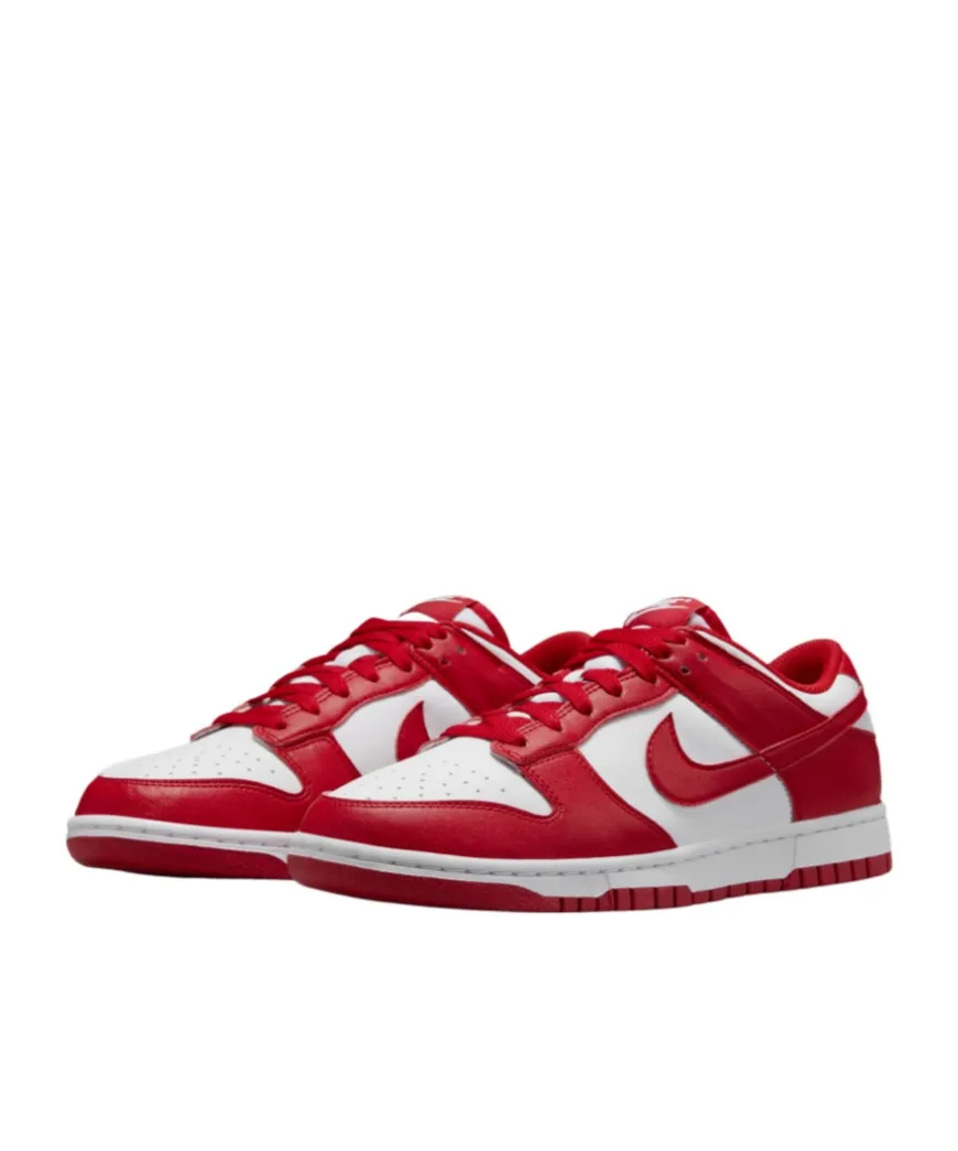 Nike Dunk Low Next Nature Lace-Up Sneakers