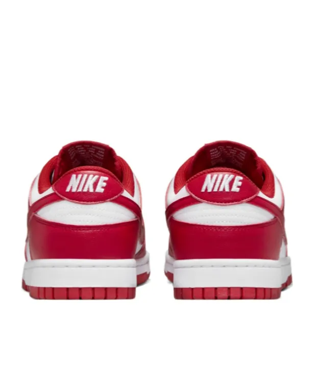 Nike Dunk Low Next Nature Lace-Up Sneakers