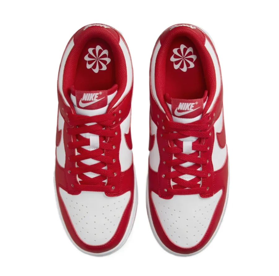 Nike Dunk Low Next Nature Lace-Up Sneakers