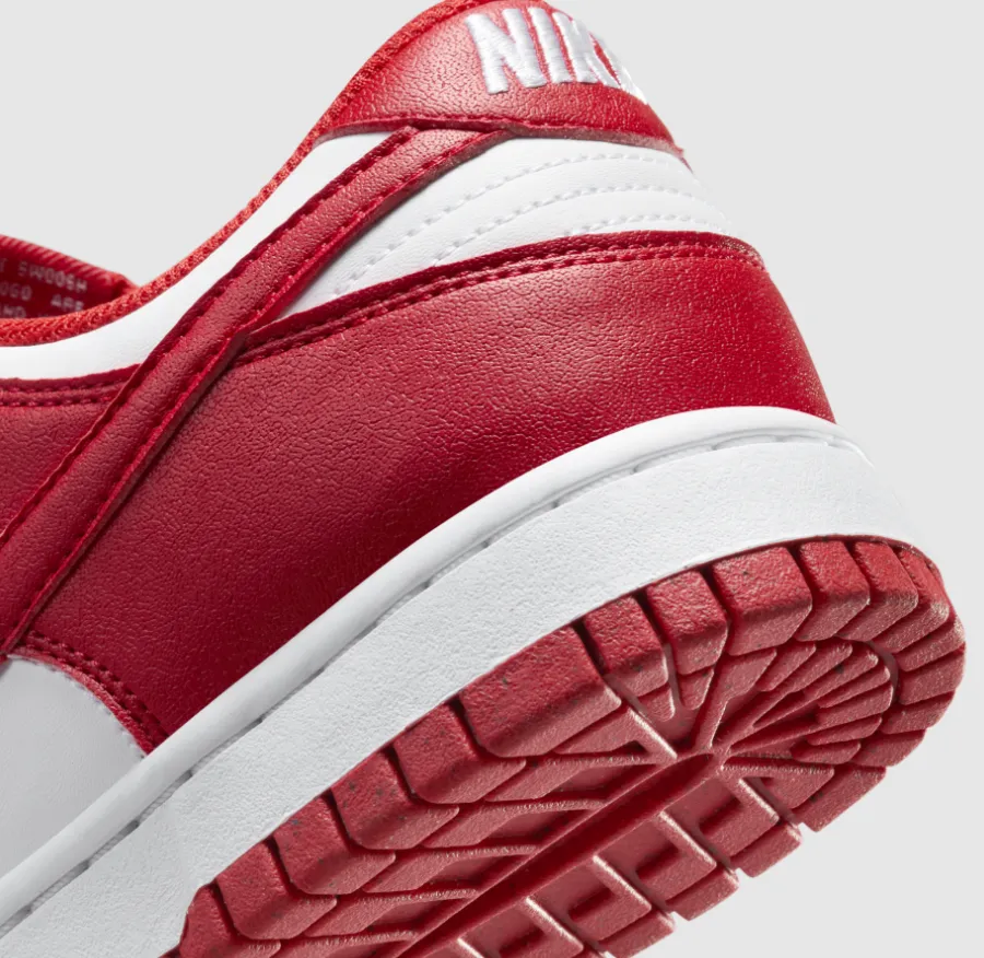 Nike Dunk Low Next Nature Lace-Up Sneakers