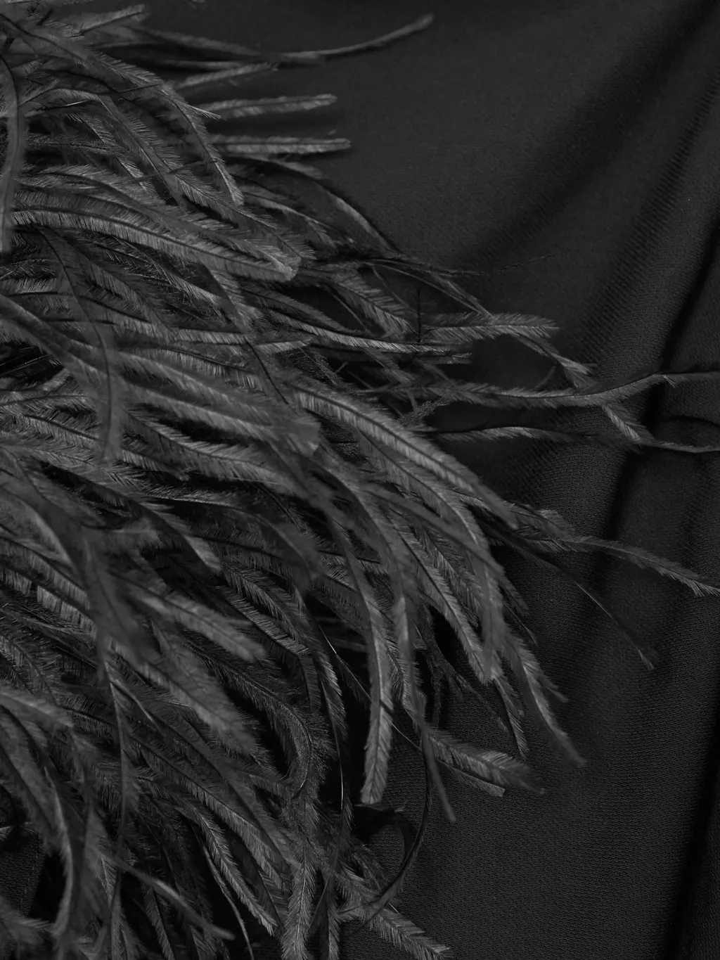 Feather Trimmed Dress
