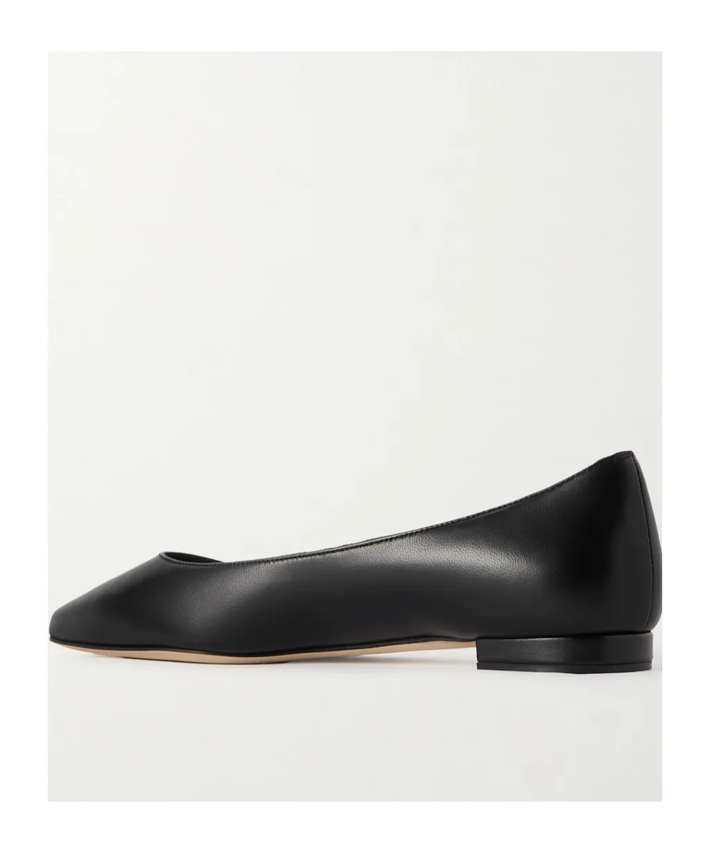 Pointed Toe Flats