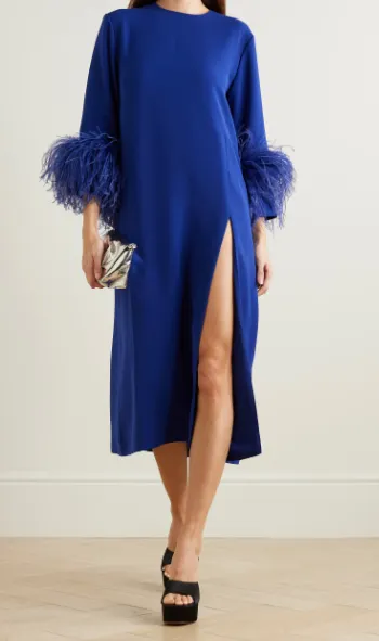 Billie's Long Dress With Feather Trimmings