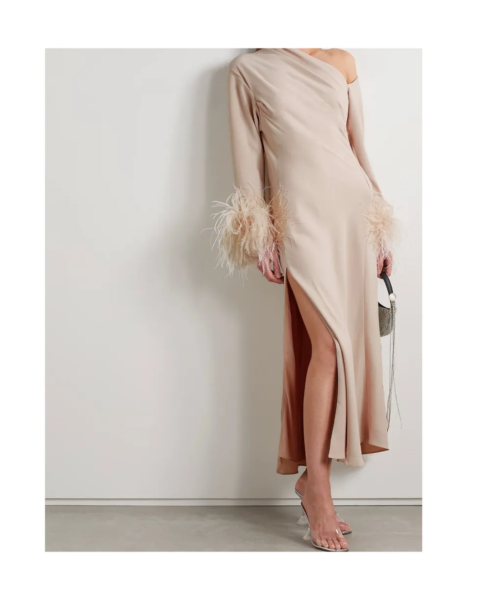 Adelaide One-Shoulder Feather-Trimmed Crepe Maxi Dress