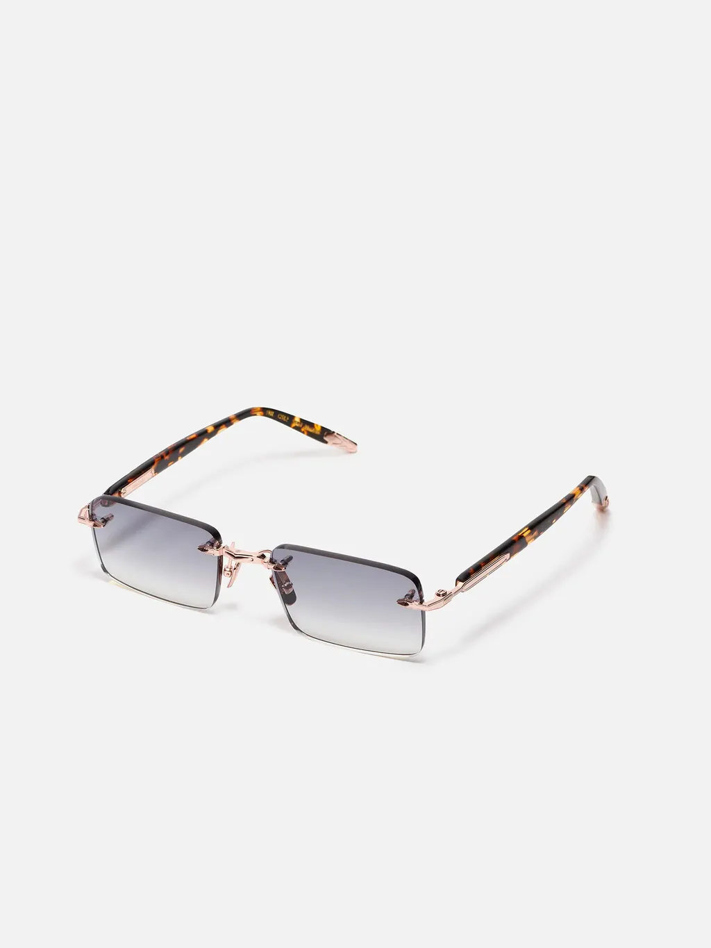 R01 Tortoiseshell Sunglasses