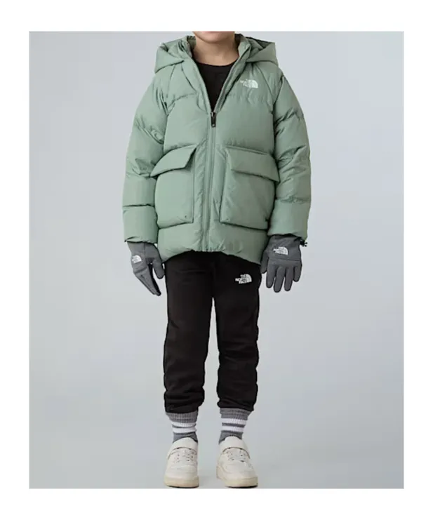 North Parker Down Jacket