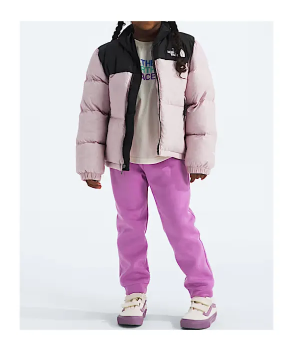 1996 Retro Nuptse Down Jacket