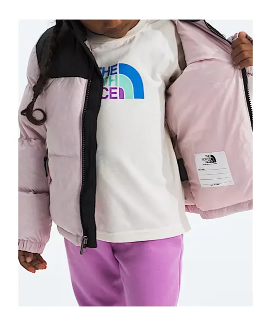 1996 Retro Nuptse Down Jacket