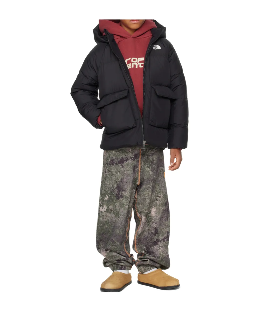 North Parker Down Jacket