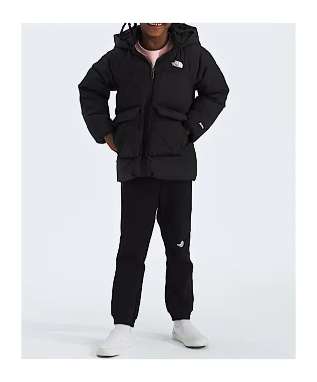 North Parker Down Jacket