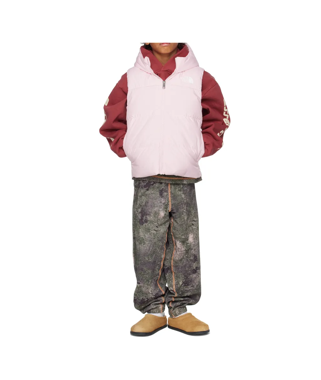 North Hooded Down Vest