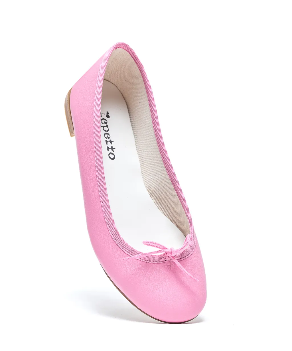 Repetto Cendrillon Ballerina Flat Shoes
