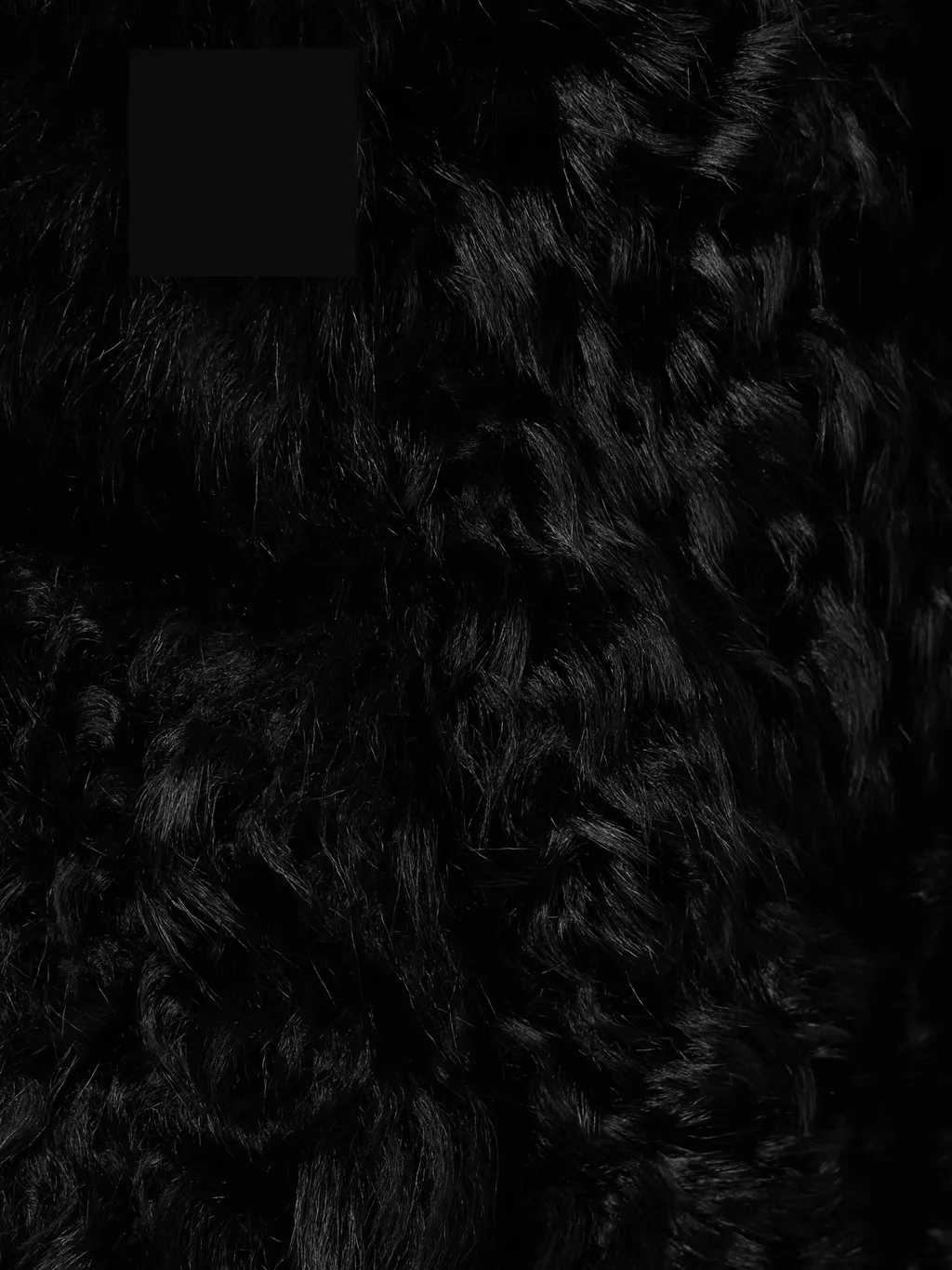 Josie Coat