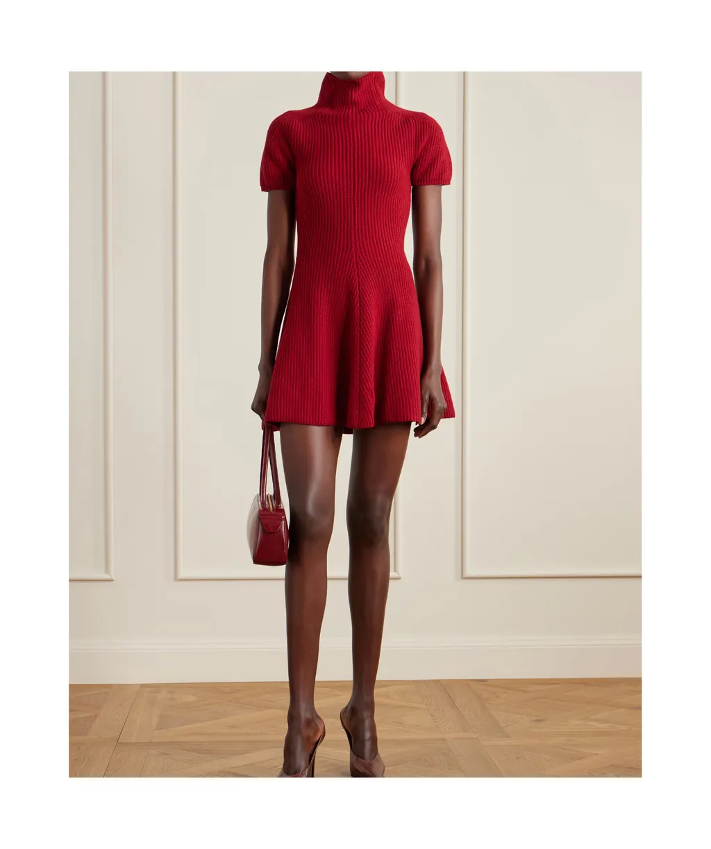 Ribbed Cashmere Turtleneck Mini Dress