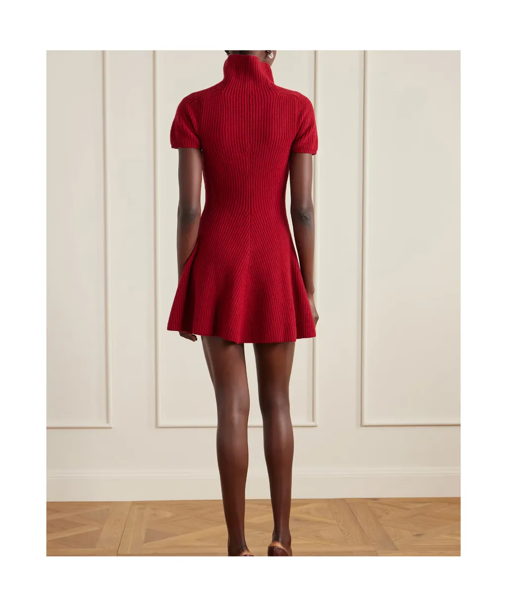 Ribbed Cashmere Turtleneck Mini Dress