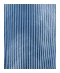 Ermanno Scervino Pleated Long Skirt