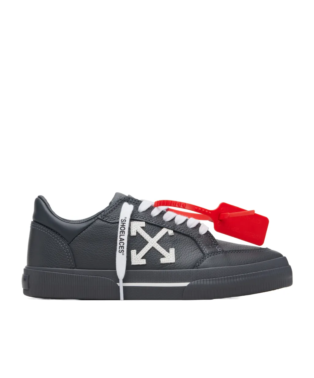 Vulcanized Sneakers