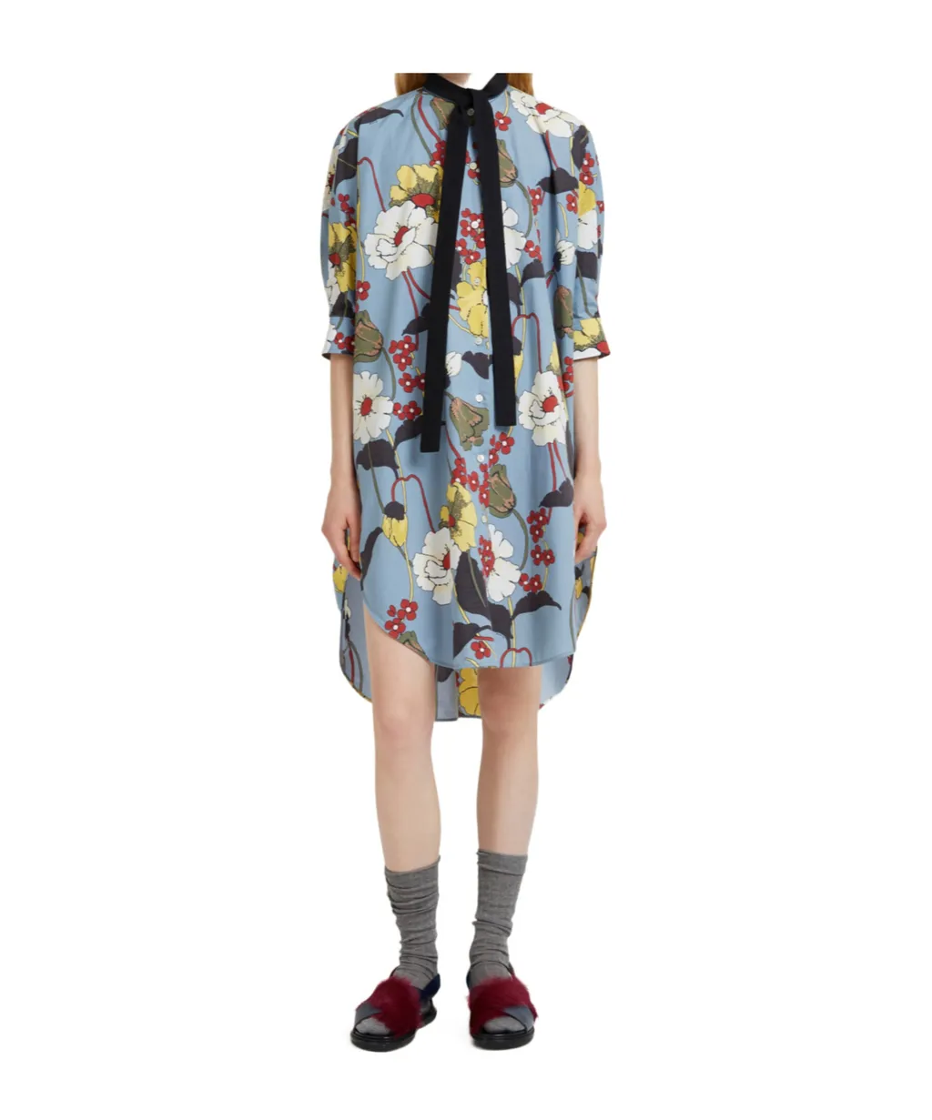 Marni Melodia Print Oversized Poplin Dress