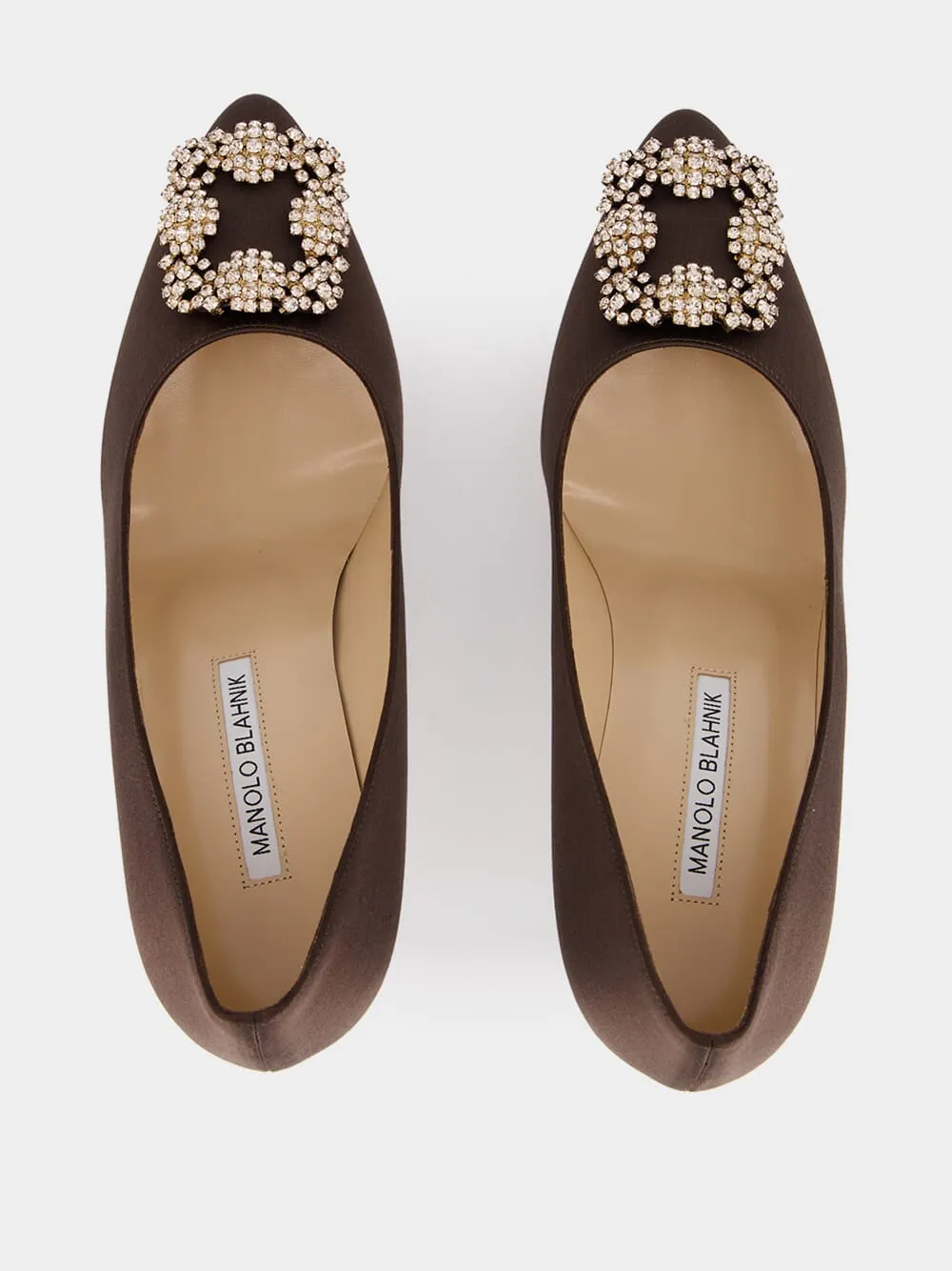 Manolo Blahnik Hangisi Buckle Embellished Pumps