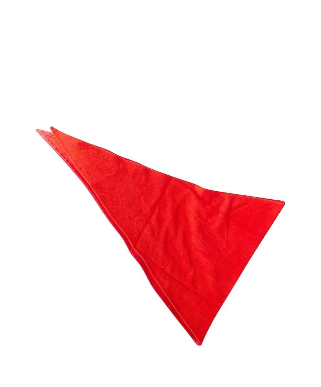 Pointed Wool Scarf