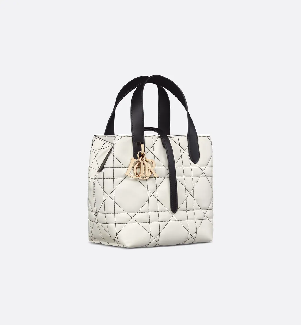 Small Dior Toujours Vertical Tote Bag