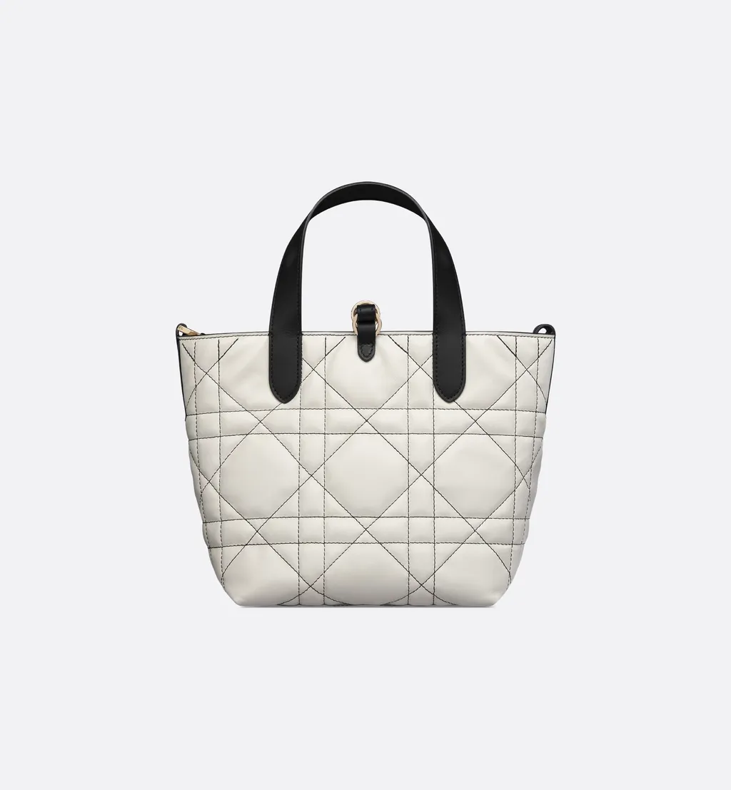 Small Dior Toujours Vertical Tote Bag