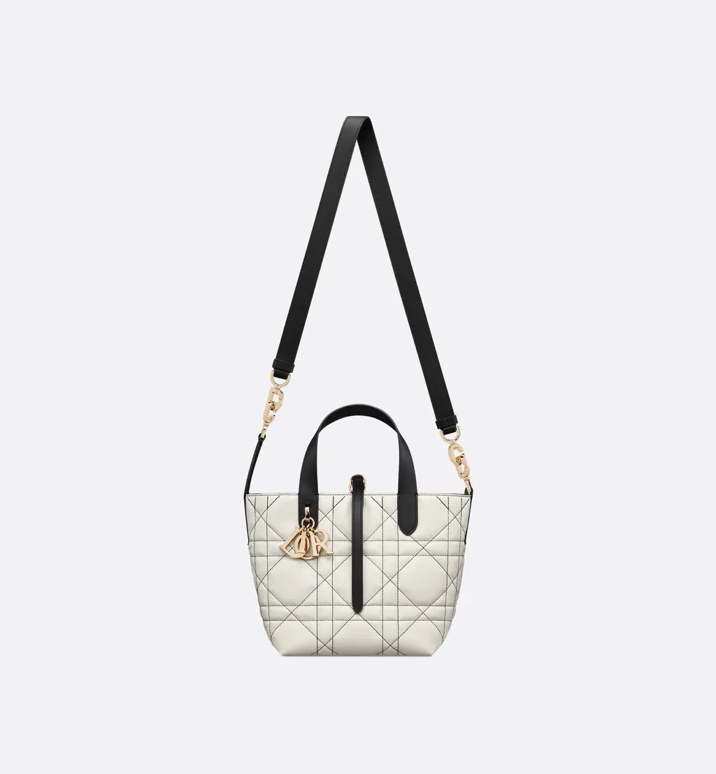 Small Dior Toujours Vertical Tote Bag