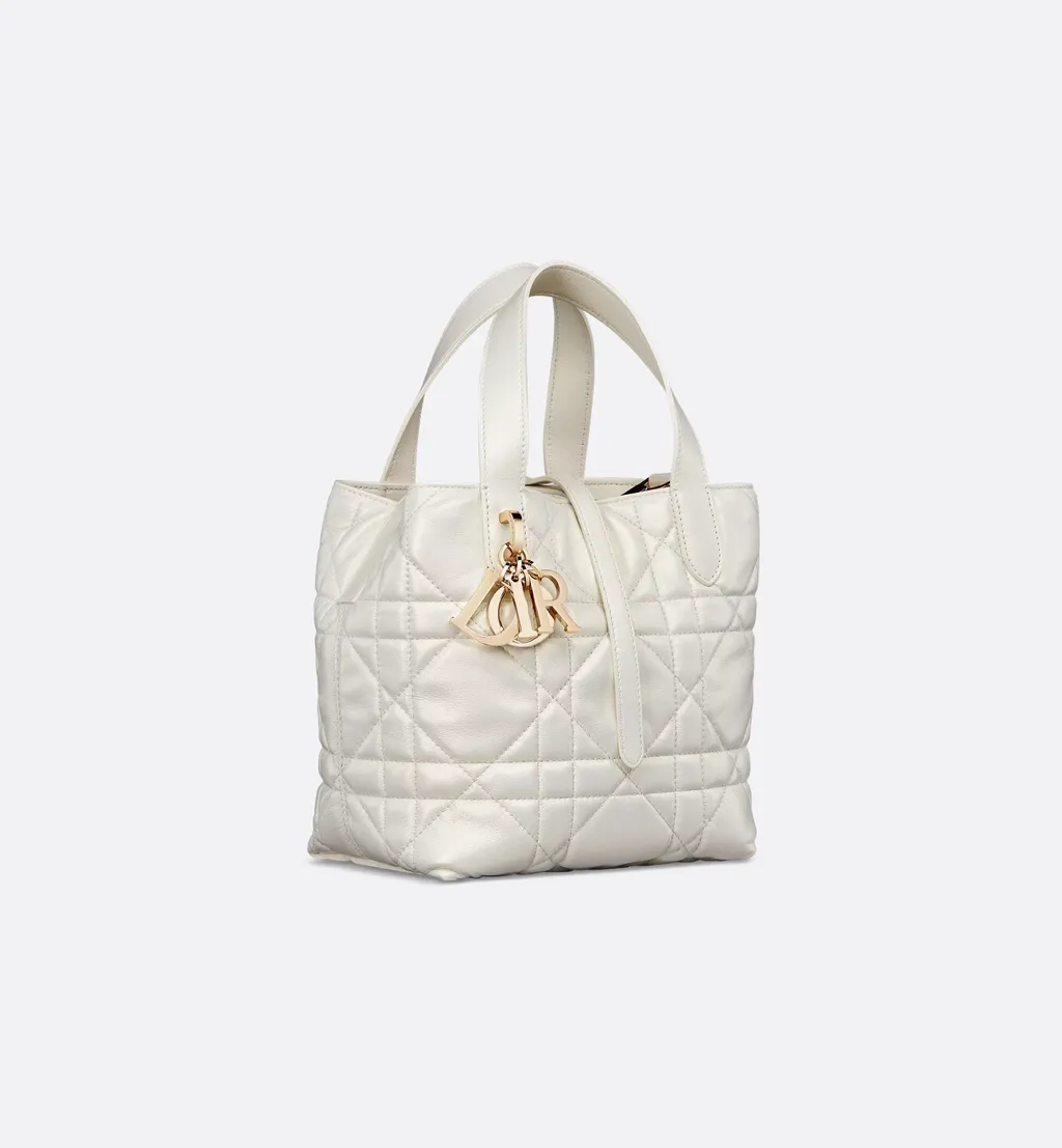 Small Dior Toujours Vertical Tote Bag