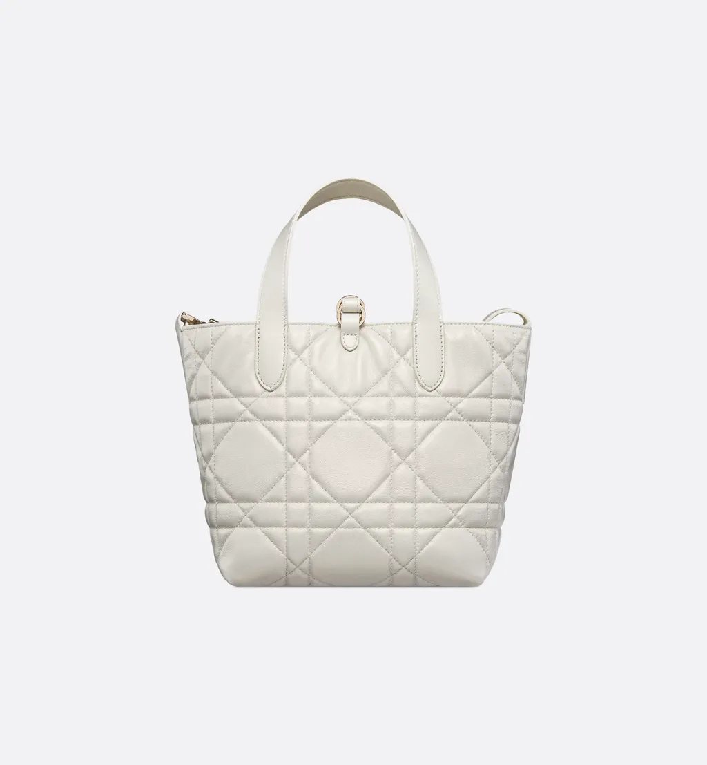 Small Dior Toujours Vertical Tote Bag