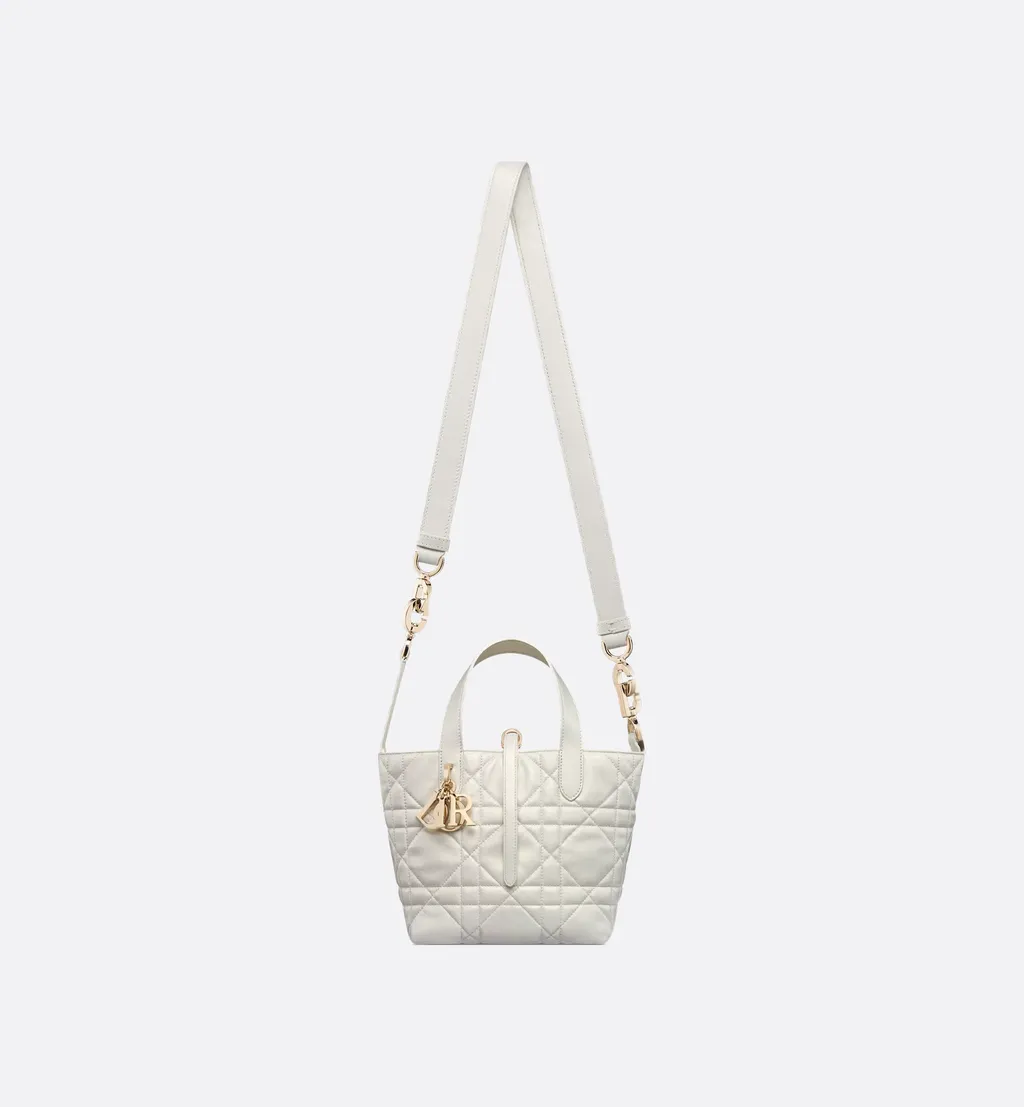 Small Dior Toujours Vertical Tote Bag