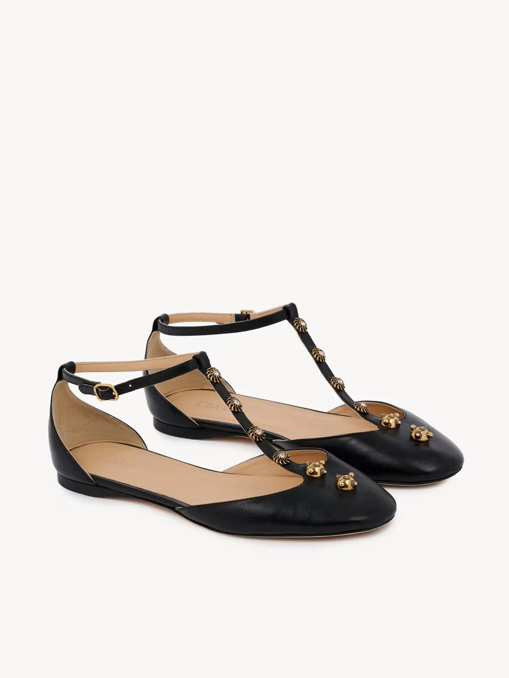 Celeste Ballet Flats