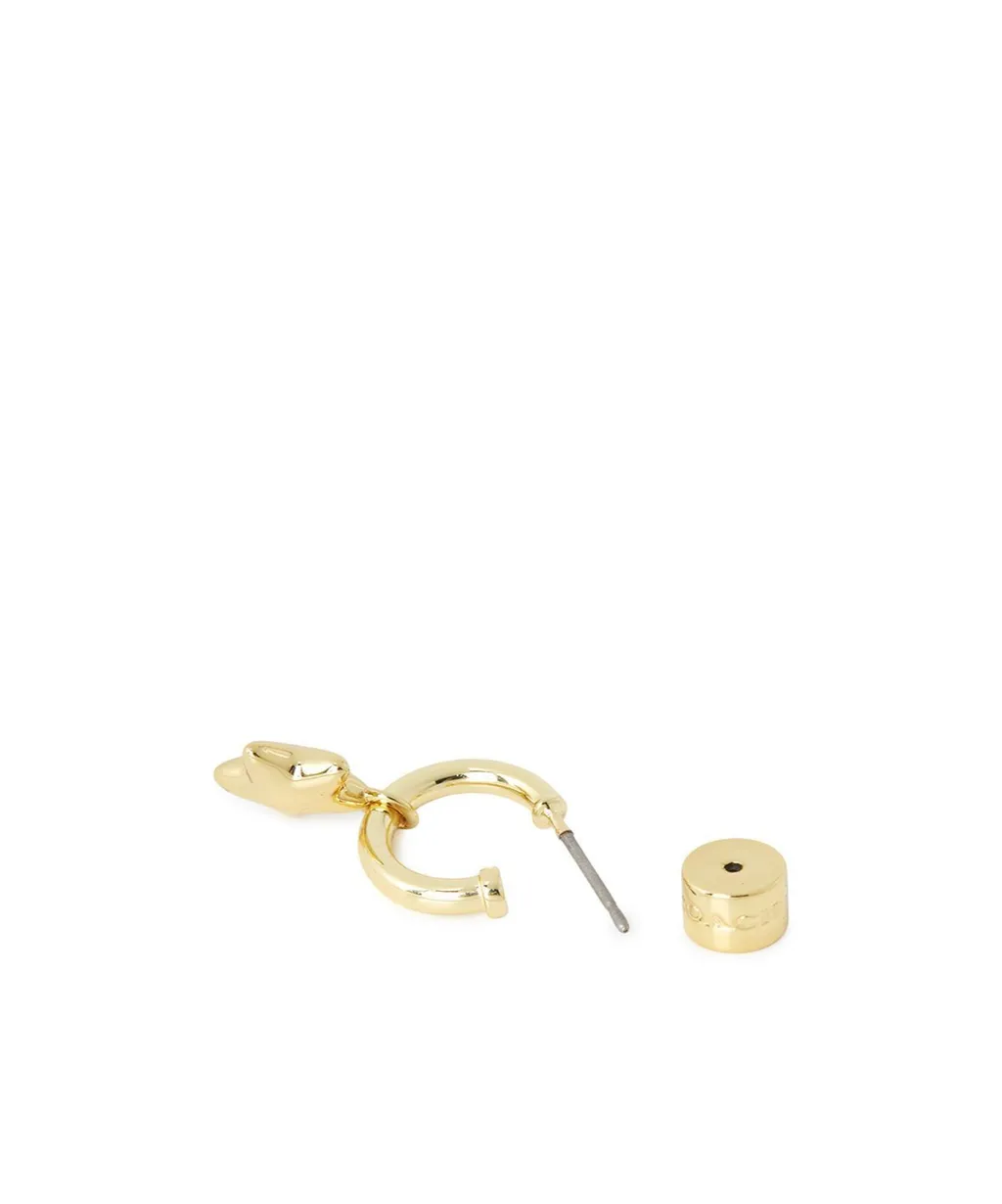 Star Pendant Earrings