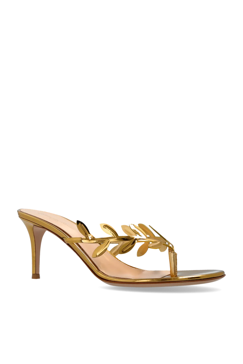 Gianvito Rossi Heeled Mules