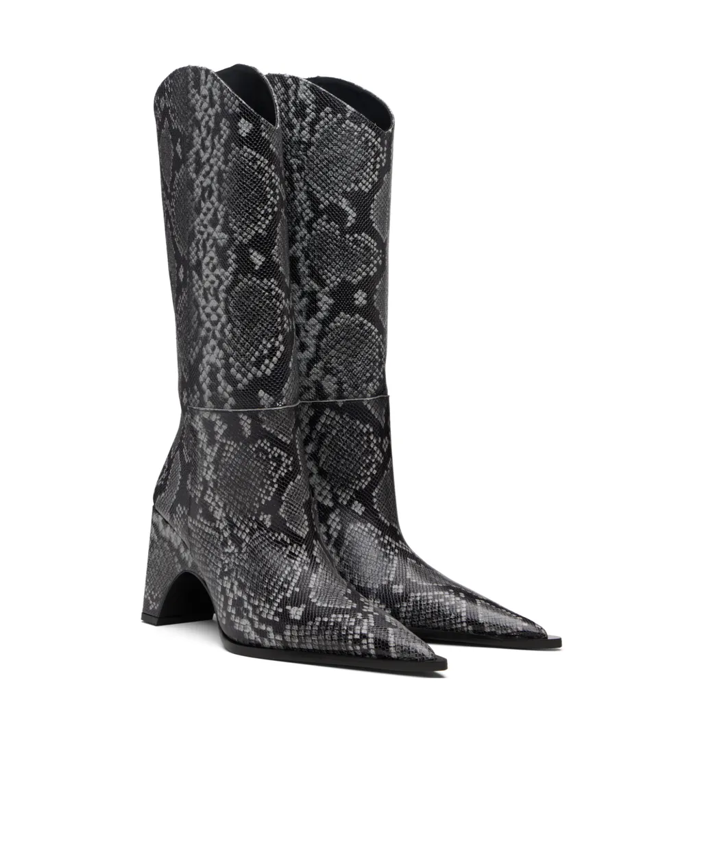 Pointed-Toe Boots