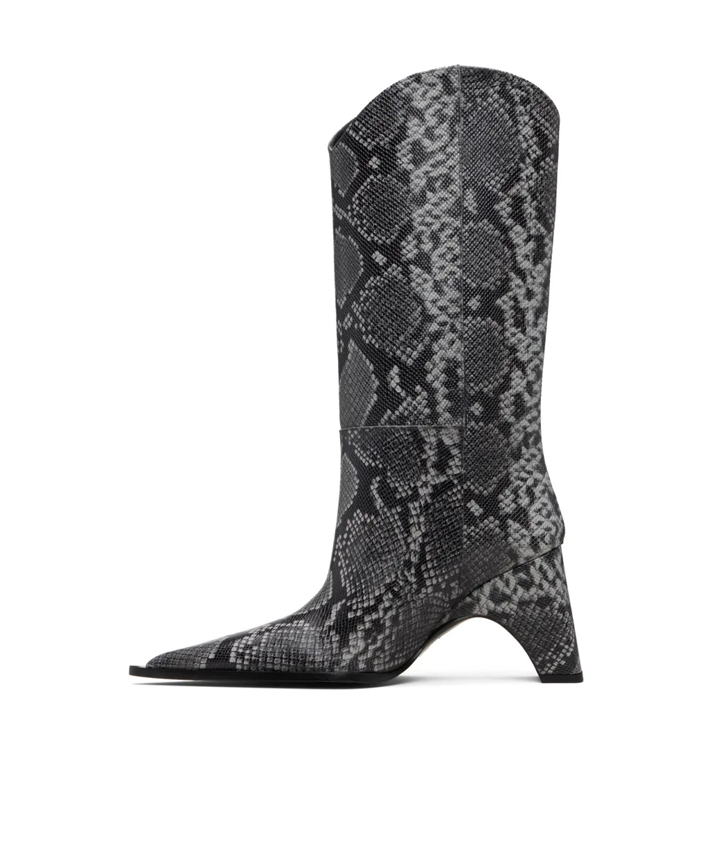 Pointed-Toe Boots