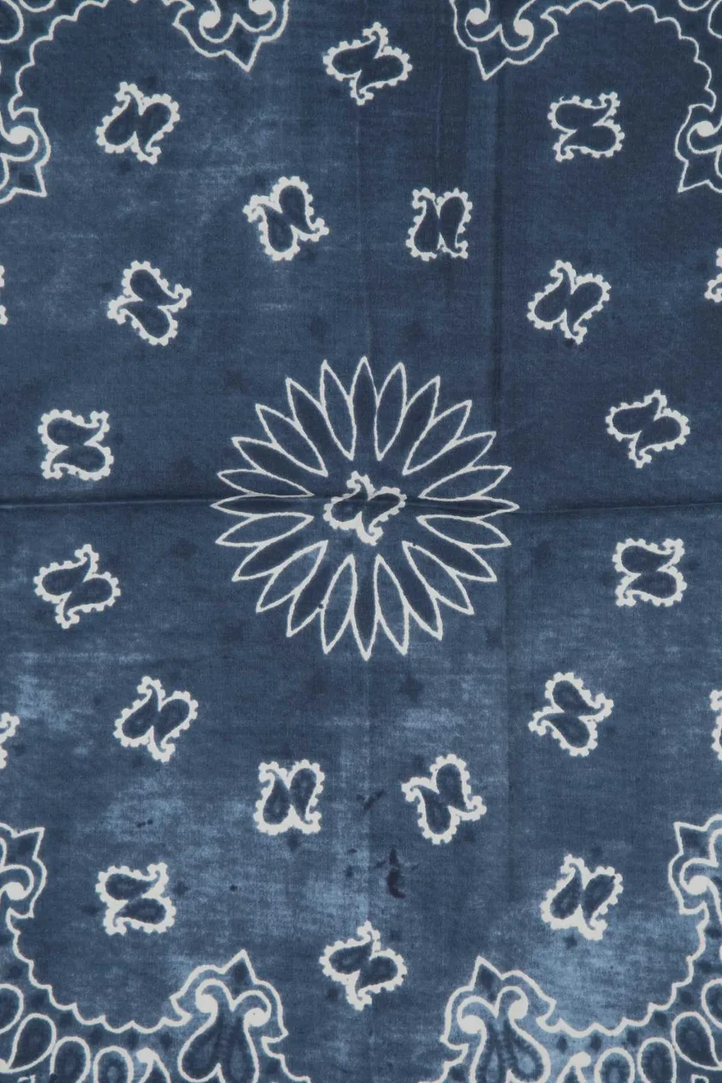 Golden Goose Deluxe Brand Paisley Printed Scarf