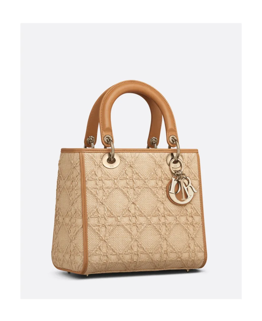 Christian Dior Logo Plaque Top Handle Bag