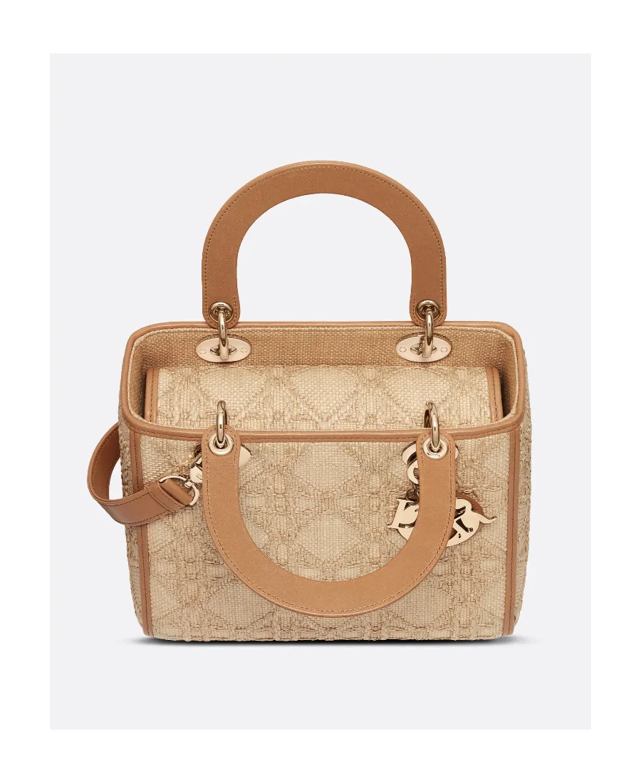 Christian Dior Logo Plaque Top Handle Bag